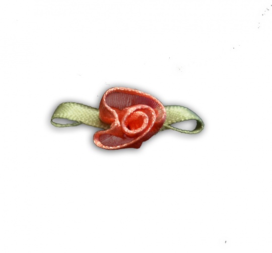 Schleifchen  Farbrichtung korallenrot /schilfgrün Rose 