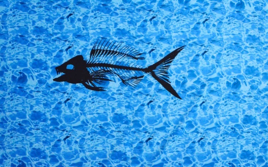 Badeware  Farbrichtung leuchtend blau Wasser schwarze Fischgräte  Rapport!! 