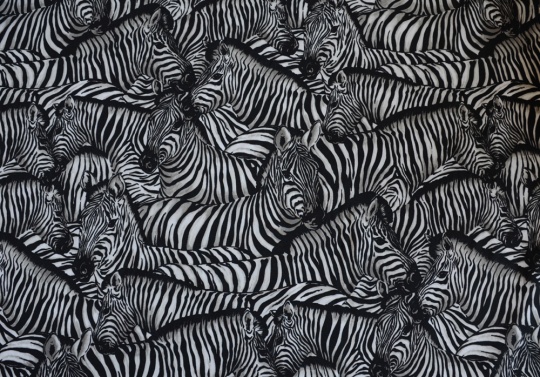 Badeware Farbrichtung schwarz/silbergrau Zebra 