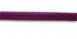 Zierlitze  Farbrichtung pink violett Bogenkante 9 mm 
