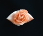 Schleifchen  Farbrichtung "apricot" Rose 